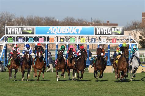 Get the latest Thoroughbred & Harness race track entries at Equibase. . Aqueduct race entries